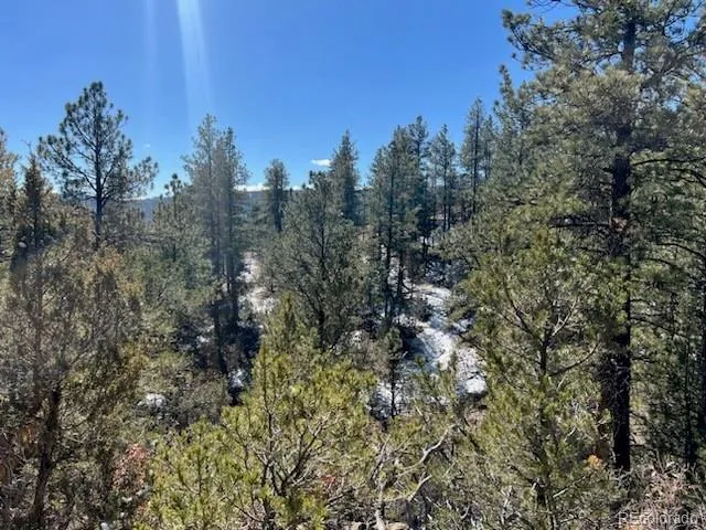 County Rd 23.3 Weston, CO 81091