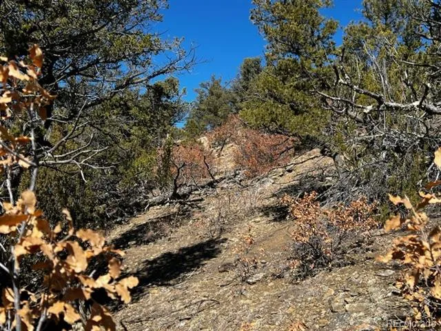 County Rd 23.3 Weston, CO 81091
