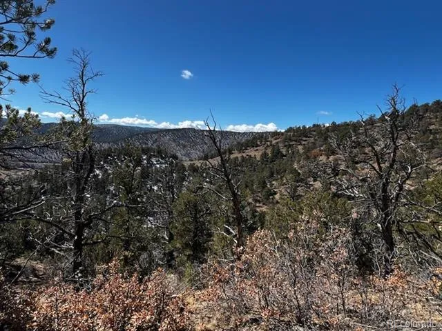 County Rd 23.3 Weston, CO 81091
