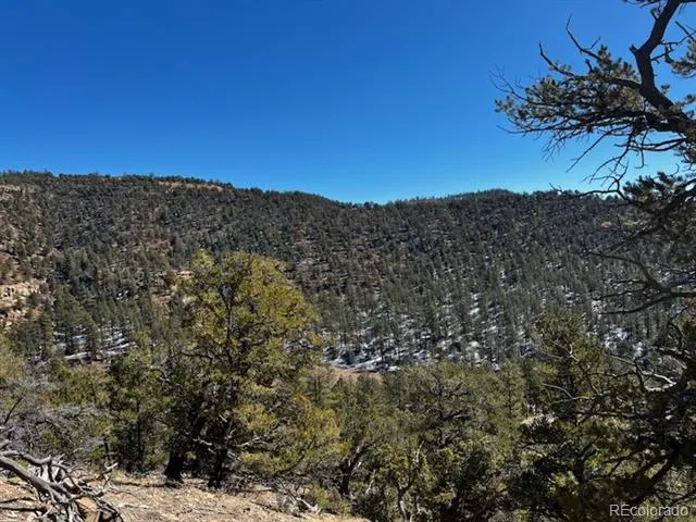 County Rd 23.3 Weston, CO 81091