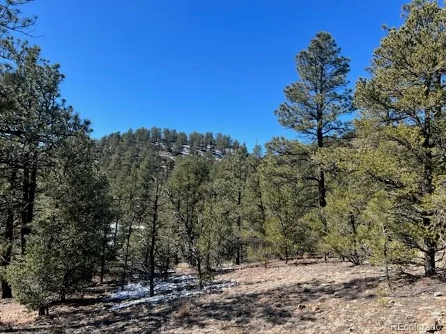 County Rd 23.3 Weston, CO 81091