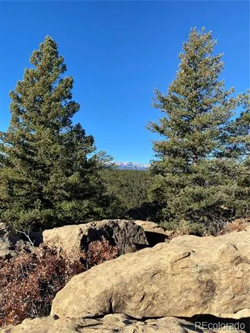 County Rd 23.3 Weston, CO 81091