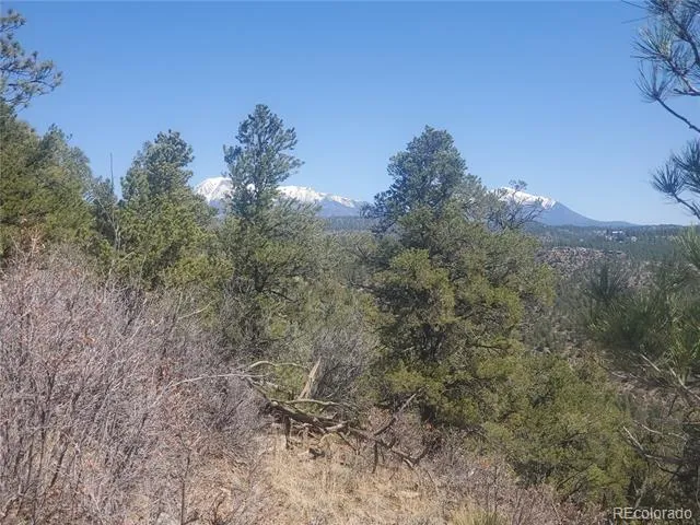 County Rd 23.3 Weston, CO 81091
