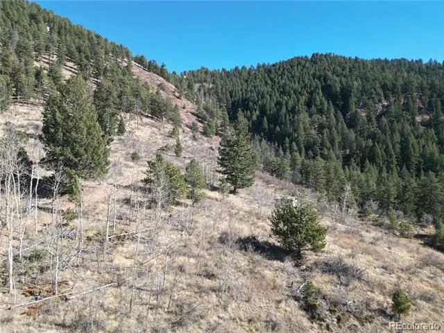 18 Blue Haven Place Woodland Park, CO 80863