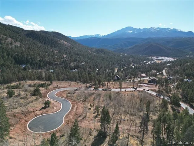 18 Blue Haven Place Woodland Park, CO 80863
