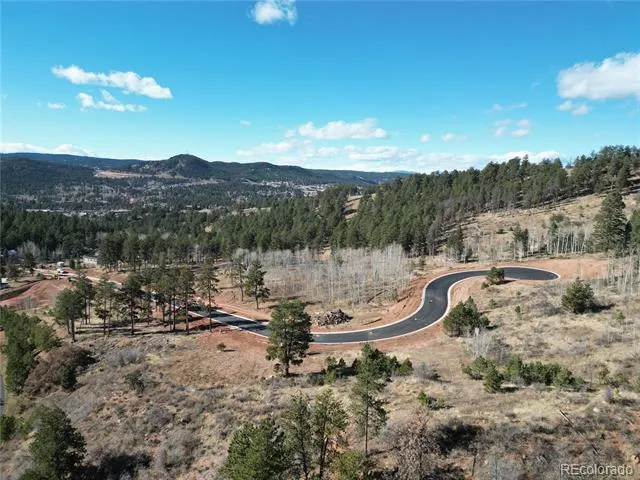 18 Blue Haven Place Woodland Park, CO 80863