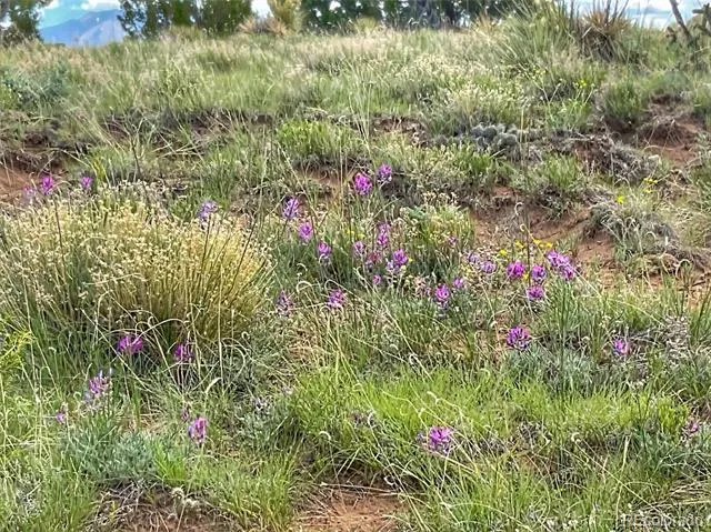 Rio Cucharas Phase 1 Walsenburg, CO 81089