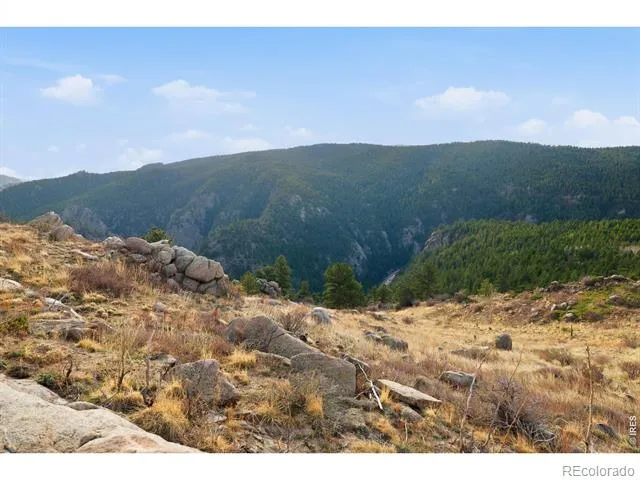 5260 Ridge Road Nederland, CO 80466