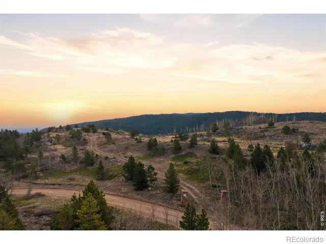 5260 Ridge Road Nederland, CO 80466