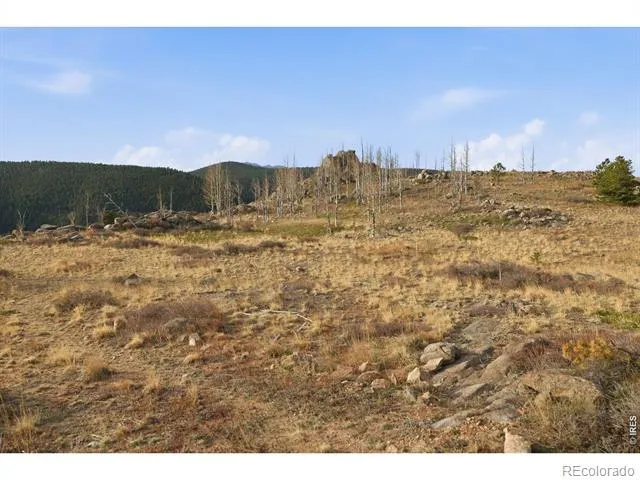 5260 Ridge Road Nederland, CO 80466