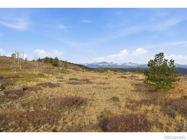 5260 Ridge Road Nederland, CO 80466