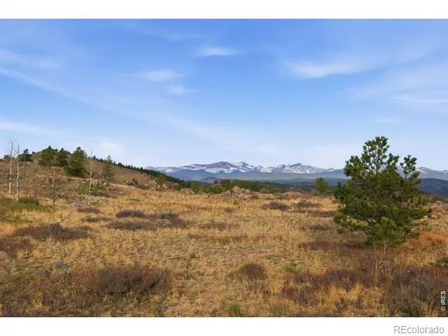 5260 Ridge Road Nederland, CO 80466