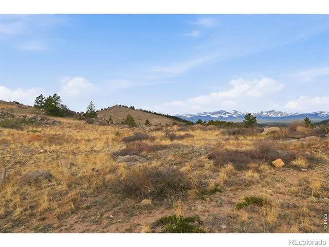 5260 Ridge Road Nederland, CO 80466