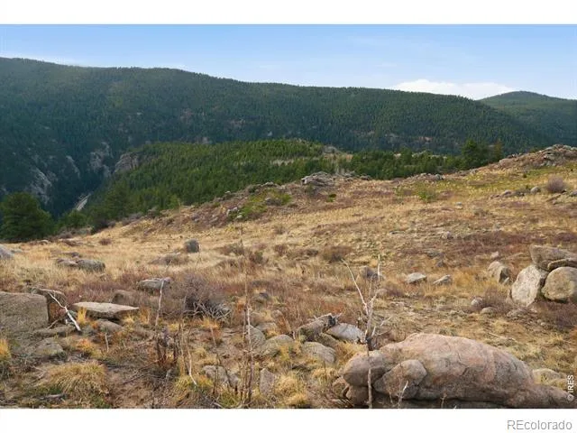 5260 Ridge Road Nederland, CO 80466