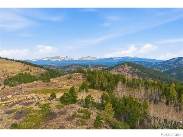 5260 Ridge Road Nederland, CO 80466