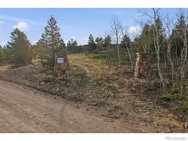 5260 Ridge Road Nederland, CO 80466