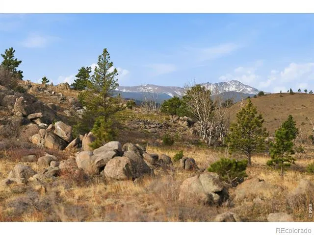 5260 Ridge Road Nederland, CO 80466