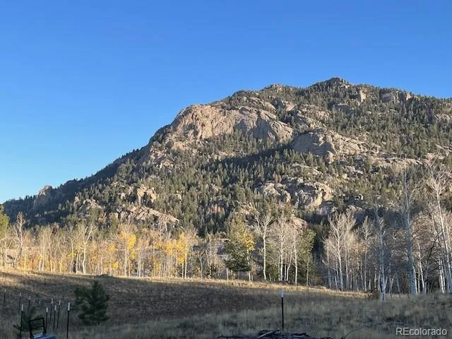 206 Emerald Way Lake George, CO 80827