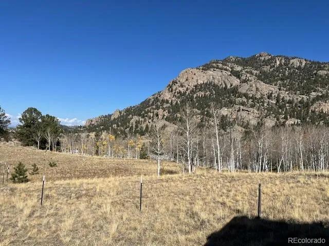 206 Emerald Way Lake George, CO 80827