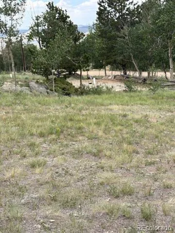 206 Emerald Way Lake George, CO 80827