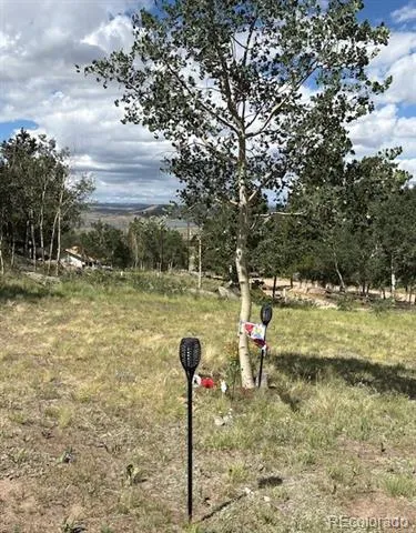 206 Emerald Way Lake George, CO 80827