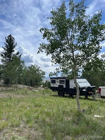 206 Emerald Way Lake George, CO 80827