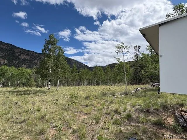 206 Emerald Way Lake George, CO 80827