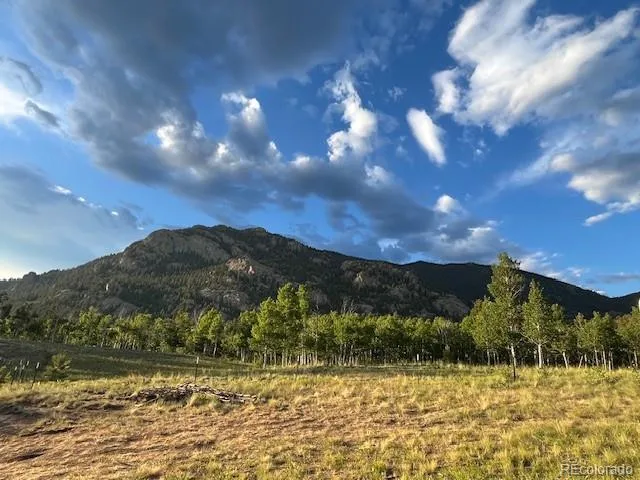 206 Emerald Way Lake George, CO 80827
