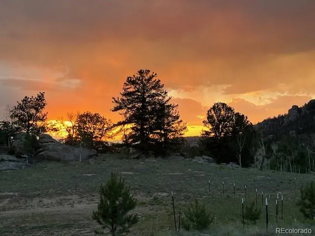 206 Emerald Way Lake George, CO 80827