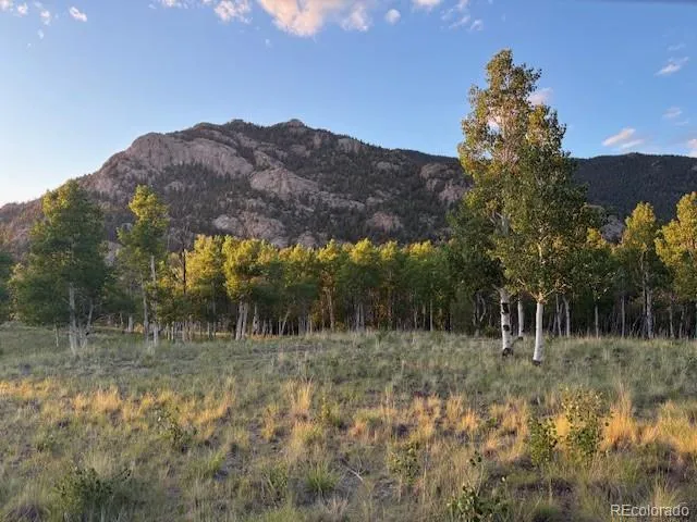 206 Emerald Way Lake George, CO 80827