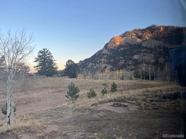 206 Emerald Way Lake George, CO 80827