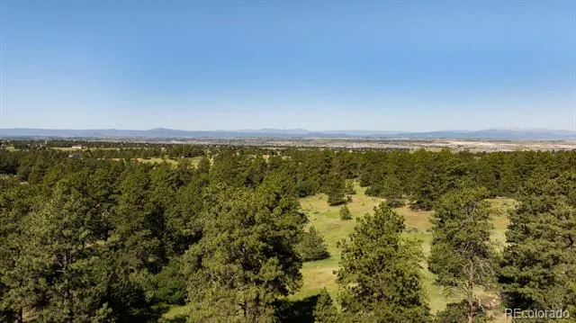 10300 Pine Song Place Parker, CO 80138