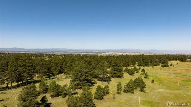 10300 Pine Song Place Parker, CO 80138