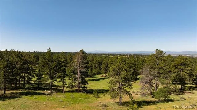 10300 Pine Song Place Parker, CO 80138