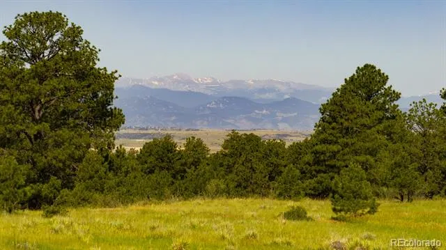10300 Pine Song Place Parker, CO 80138
