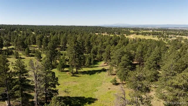 10300 Pine Song Place Parker, CO 80138