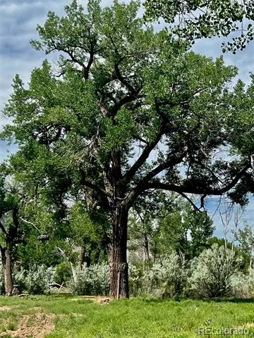 1797 County Road 346 Rifle, CO 81650