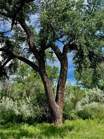 1797 County Road 346 Rifle, CO 81650