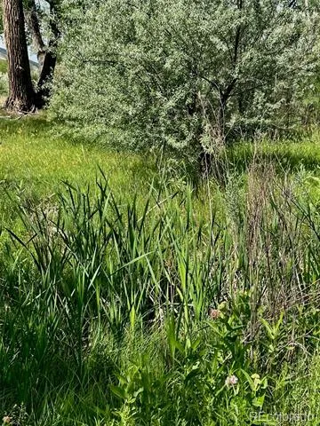 1797 County Road 346 Rifle, CO 81650