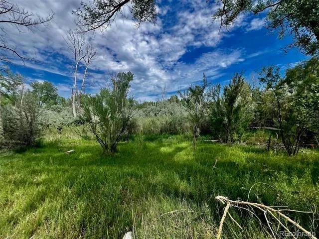 1797 County Road 346 Rifle, CO 81650