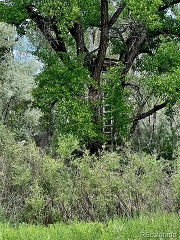 1797 County Road 346 Rifle, CO 81650