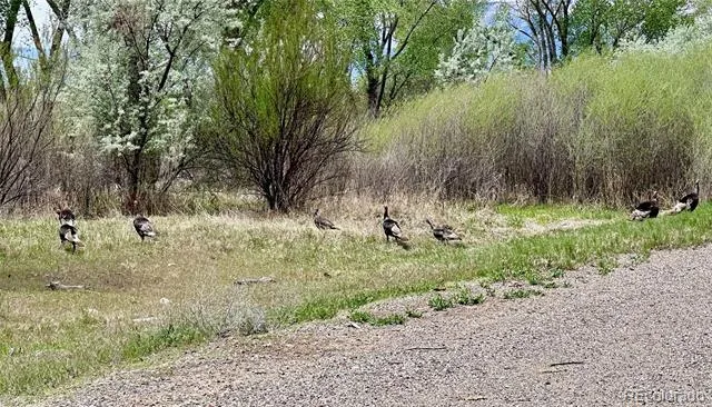 1797 County Road 346 Rifle, CO 81650