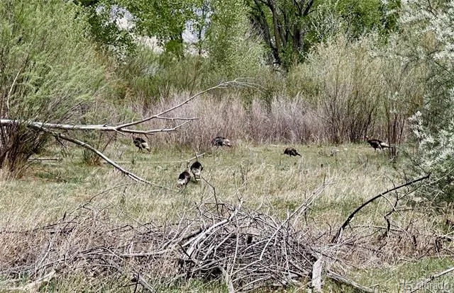 1797 County Road 346 Rifle, CO 81650