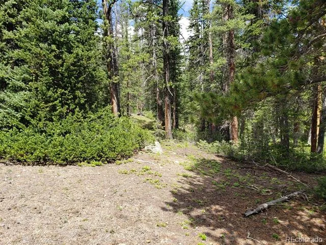 586 El Lobo Lane Fairplay, CO 80440