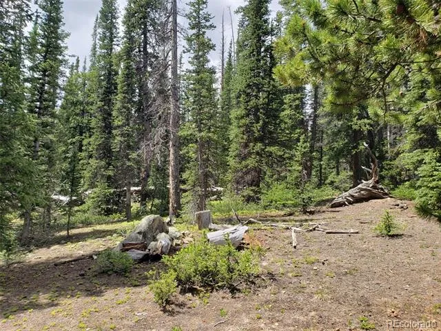 586 El Lobo Lane Fairplay, CO 80440