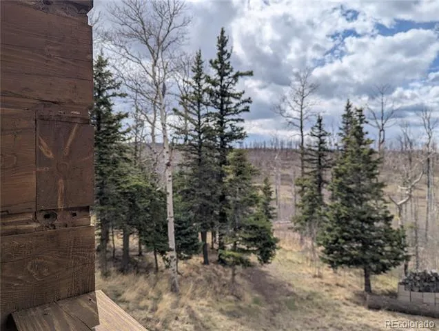 1670 Cary Lane Fort Garland, CO 81133