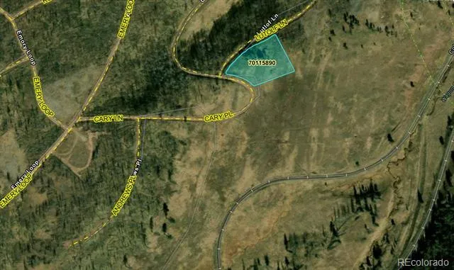 1670 Cary Lane Fort Garland, CO 81133