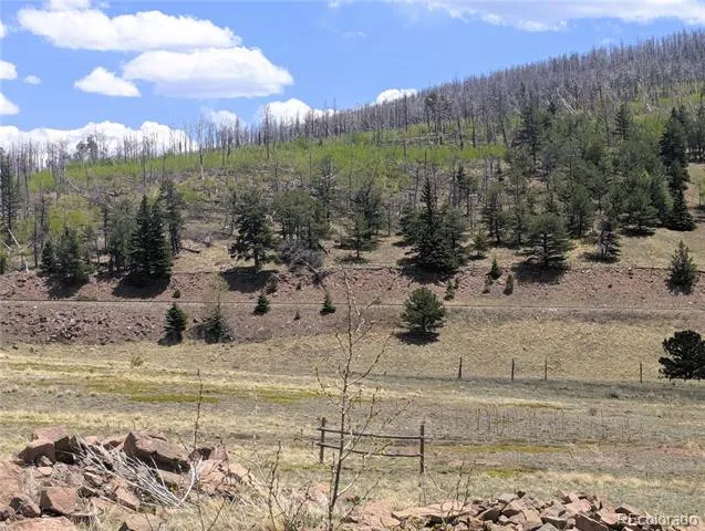 1670 Cary Lane Fort Garland, CO 81133