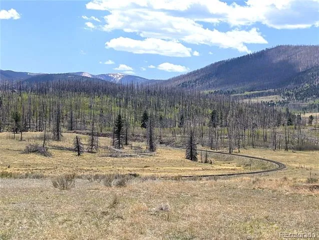 1670 Cary Lane Fort Garland, CO 81133