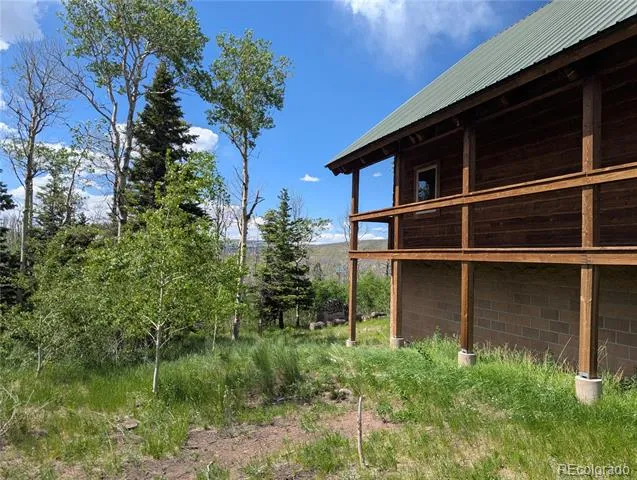 1670 Cary Lane Fort Garland, CO 81133